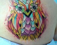 Water Color Owl